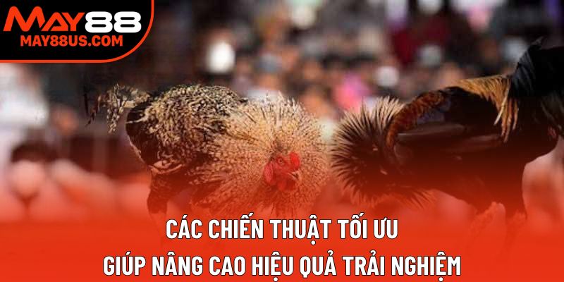 Các chiến thuật tối ưu giúp nâng cao hiệu quả trải nghiệm