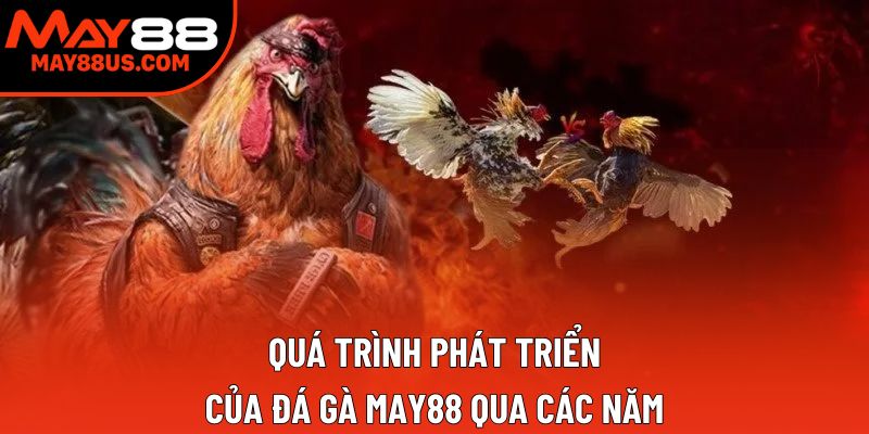 Quá trình phát triển của đá gà May88 qua các năm